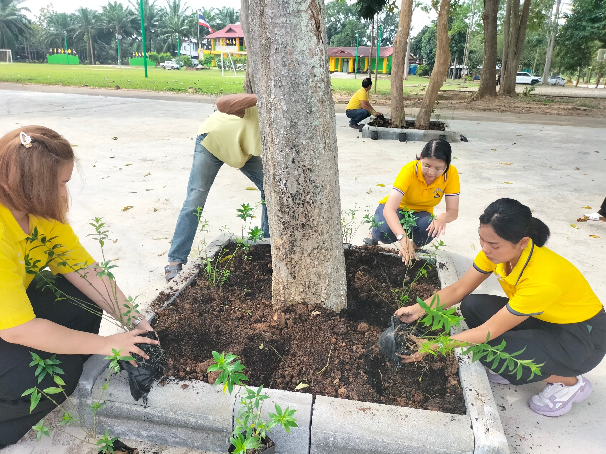 วันอังคารที่ 12 ธันวาคม 2566 องค์การบริหารส่วนตำบลท่าข้ามได้จัดโครงการปลูกต้นไม้ เพื่อสำนึกในพระมหากรุณาธิคุณในโอกาสวันสำคัญของชาติไทย เนื่องในวันคล้ายวันพระบรมราชสมภพ พระบาทสมเด็จพระบรมชนกาธิเบศร มหาภูมิพลอดุลยเดชมหาราช บรมนาถบพิตร วันชาติ และวันพ่อแห่งชาติ 5 ธันวาคม 2566
ณ องค์การบริหารส่วนตำบลท่าข้าม อ.พุนพิน จ.สุราษฎร์ธานี